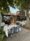 tuzla-zeytin-cafe-dekorasyon-1
